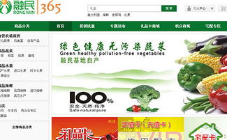 上海派网 网站优化seo专家 建网站专家 上海做网站的公司
